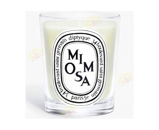 Diptyque Mimosa Scented Candle 190 g Telpu aromāti
