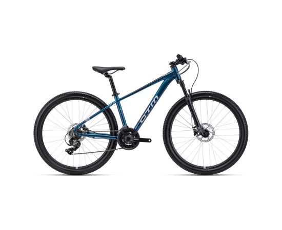 Bike CTM Rein 1.0 29" Горные велосипеды (MTB)