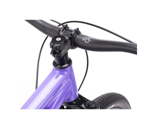 Bike CTM Dirtking 26" BMX Велосипеды
