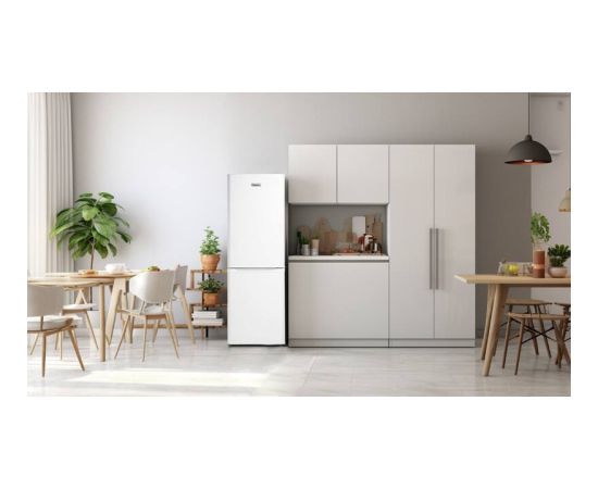 Refrigerator Frigelux Jaunumi Sadz. tehnika