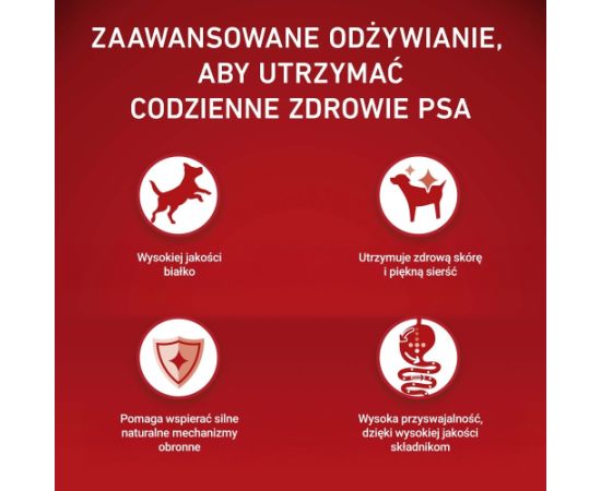 PURINA ONE MINI Dog Sensitive Salmon & Rice 1,5kg Suņu barība