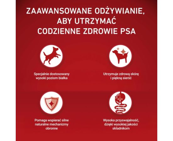 PURINA ONE MINI Dog Adult Beef & Rice 1,5kg Suņu barība