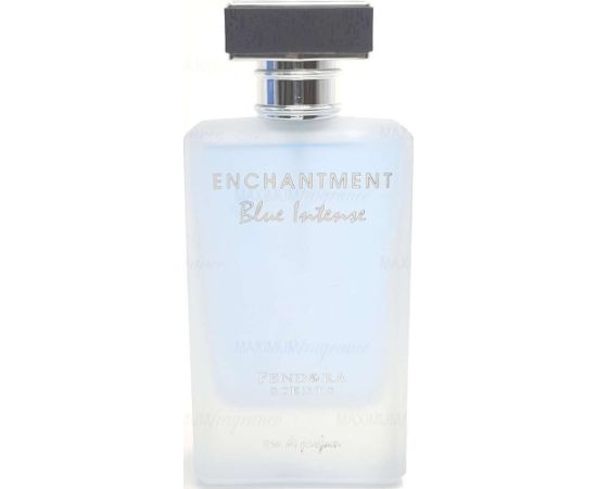 PENDORA SCENTS Enchantment Blue Intense EDP spray 100ml Unisex Smaržas