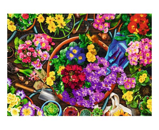 TREFL Набор пазлов Сад, 2x500 шт. Пазлы