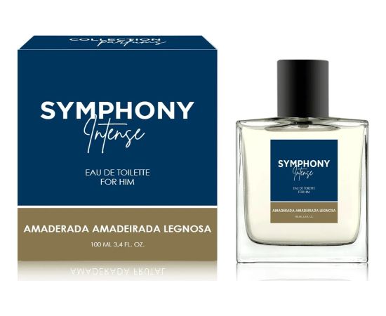 Alkotest MELODY Symphony Intense Men EDT spray 100ml Vīriešu Smaržas