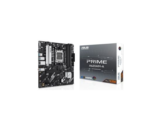 ASUS PRIME A620AM-A-CSM - Socket AM5 - motherboard Материнские платы