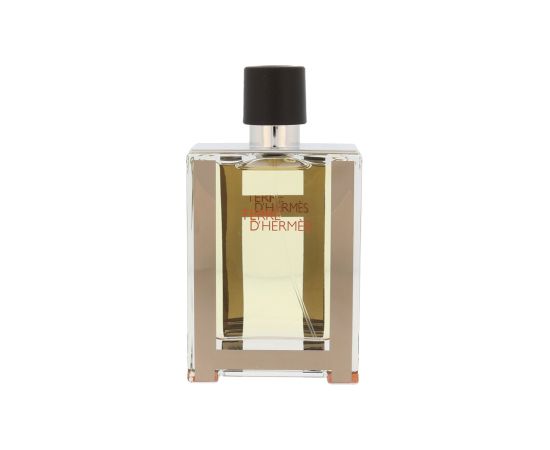 Tester Terre d'Hermes 100ml Vīriešu Smaržas