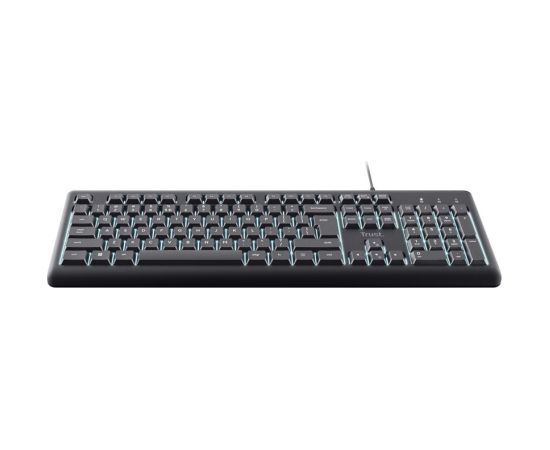 Trust Primo Beleuchtete keyboard Home/Office USB QWERTY US English Black Клавиатуры