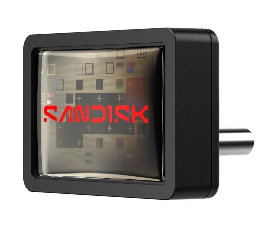 MEMORY DRIVE FLASH USB-C 64GB/SDCZ530-064G-G46 SANDISK USB карты памяти (Flash)
