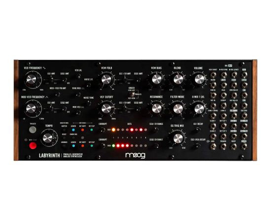 MOOG Labyrinth - Syntezator Analogowy Музыкальные инструменты