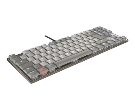 KC 500 MX LP TKL (gray, DE layout, Cherry MX Low Profile 2.0 Ivory) Klaviatūras