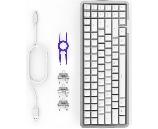 FUNCTION Elite MiniTKL (white, DE layout, NZXT Swift) Клавиатуры