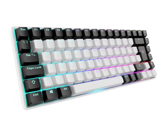 Sharkoon SKILLER SGK50 S3 (white, IT layout, Gateron Yellow) Klaviatūras