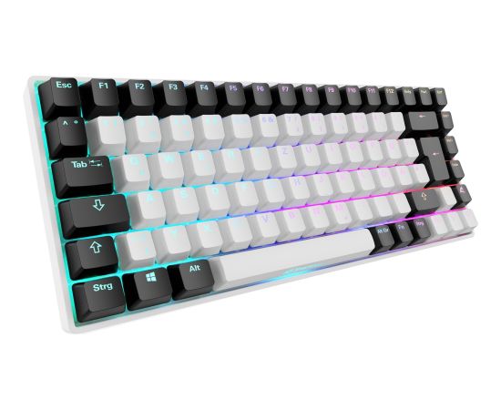 Sharkoon SKILLER SGK50 S3 (white, DE layout, Gateron Brown) Klaviatūras