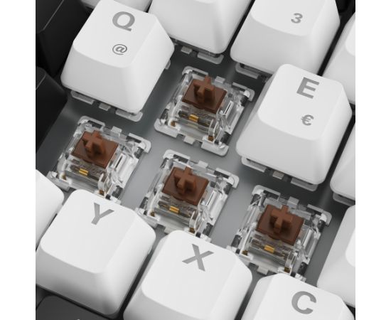 Sharkoon SKILLER SGK50 S3 (white, DE layout, Gateron Brown) Klaviatūras