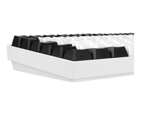 Sharkoon SKILLER SGK50 S3 (white, DE layout, Gateron Brown) Klaviatūras