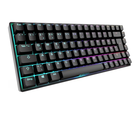Sharkoon SKILLER SGK50 S3 (black, DE layout, Gateron Yellow) Клавиатуры