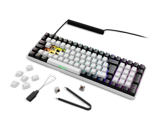 Sharkoon SKILLER SGK50 S2 (white, DE layout, Gateron Brown) Klaviatūras
