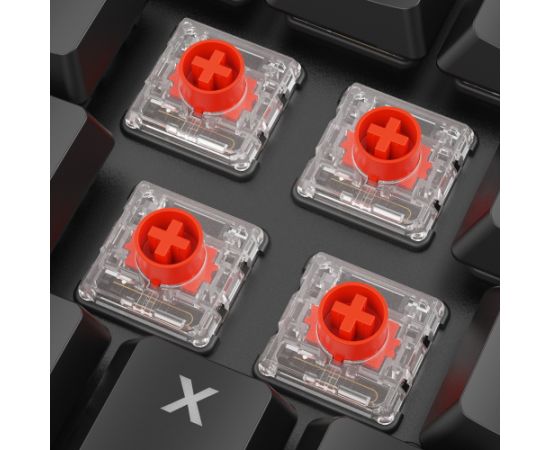 Sharkoon PureWriter W65 (black, DE layout, Kailh Choc V2 Low Profile Red) Klaviatūras