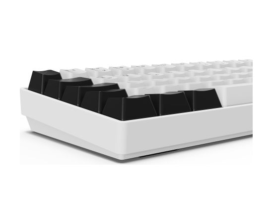 Sharkoon SKILLER SGK50 S4 Gen2 (white, DE layout, Gateron Yellow) Klaviatūras