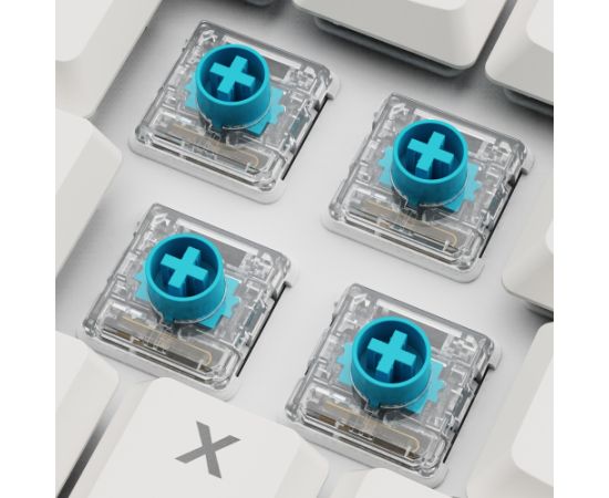 Sharkoon PureWriter W65 (white, DE layout, Kailh Choc V2 Low Profile Red) Klaviatūras