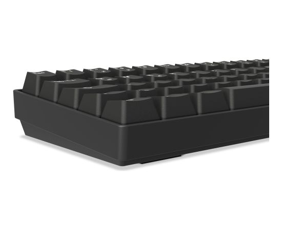 Sharkoon SKILLER SGK50 S4 Gen2 PBT (black, DE layout, Gateron G Pro 3.0 Yellow) Клавиатуры