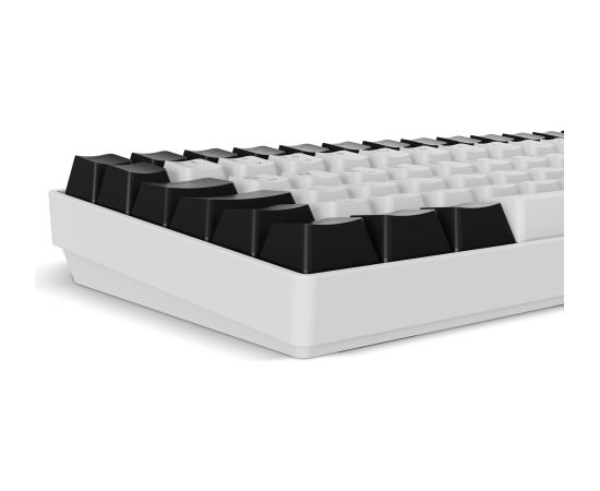 Sharkoon SKILLER SGK50 S2 (white, DE layout, Gateron Red) Klaviatūras
