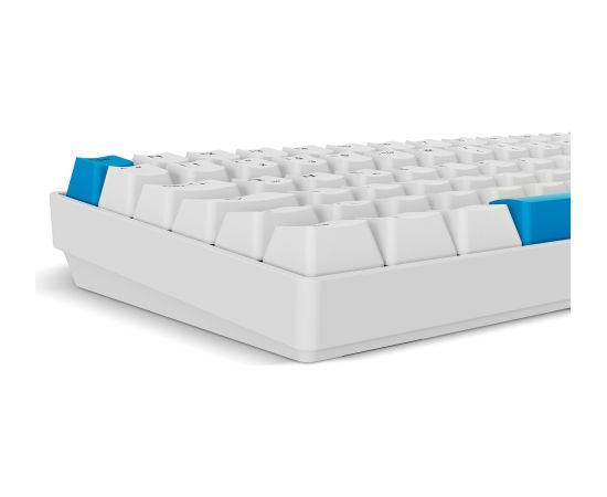 Sharkoon SKILLER SGK50 S2 PBT (white, DE layout, Gateron G Pro 3.0 Yellow) Klaviatūras