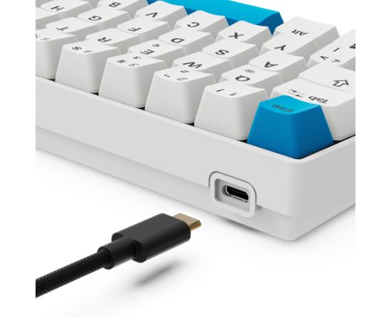 Sharkoon SKILLER SGK50 S4 Gen2 PBT (white, DE layout, Gateron G Pro 3.0 Yellow) Klaviatūras