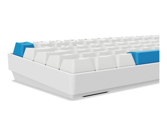 Sharkoon SKILLER SGK50 S4 Gen2 PBT (white, DE layout, Gateron G Pro 3.0 Yellow) Klaviatūras