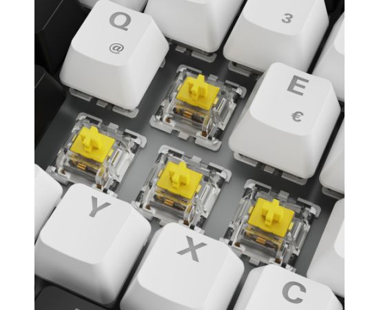 Sharkoon SKILLER SGK50 S3 (white, DE layout, Gateron Yellow) Клавиатуры