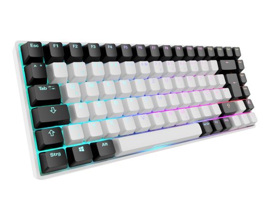 Sharkoon SKILLER SGK50 S3 (white, DE layout, Gateron Red) Klaviatūras