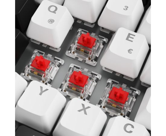 Sharkoon SKILLER SGK50 S3 (white, DE layout, Gateron Red) Klaviatūras