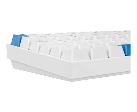 Sharkoon SKILLER SGK50 S3 PBT (white/light blue, DE layout, Gateron G Pro 3.0 Yellow) Klaviatūras