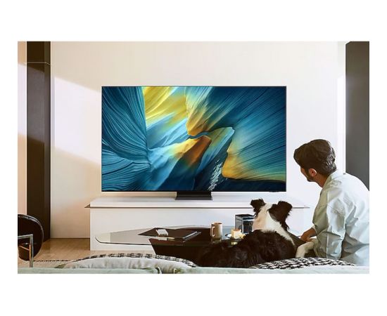 Samsung GQ77S95FATXZG (195 cm (77 inches), black/silver, UltraHD/4K, Vision AI, PVR, twin tuner, One Connect Box, 100Hz panel) Телевизоры