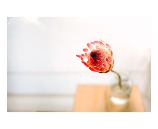 Sigma 35mm F/1.2 DG II Art, Sony E-mount pilna kadra objektīvs Objektīvi