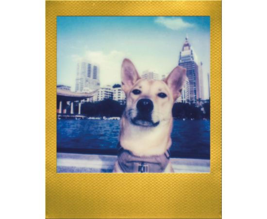 Polaroid Go Color Gold Frame 2-pack Aудио-видео
