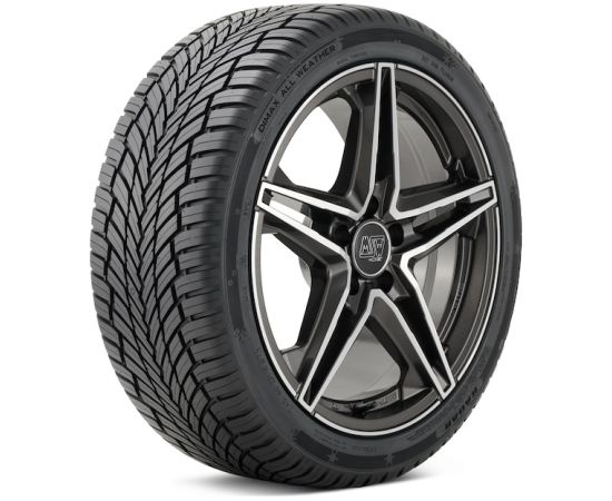 Radar Dimax All Season 245/45R19 102Y Vissezonas riepas