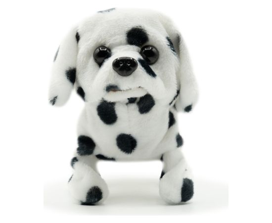 PUGS AT PLAY Staigājošs suns "Spotty" Jaunumi, Bērnu preces