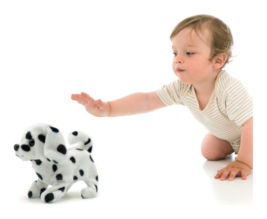 PUGS AT PLAY Staigājošs suns "Spotty" Jaunumi, Bērnu preces