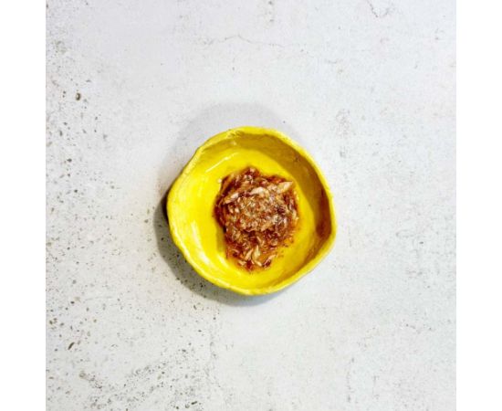 Ollo Tuna with Salmon in Broth Nr 5 70g Консервы кошек