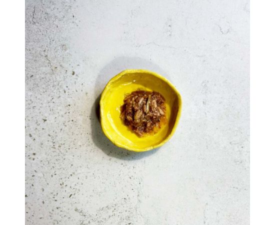 Ollo Tuna with Anchovy in Broth Nr 9 70g Консервы кошек