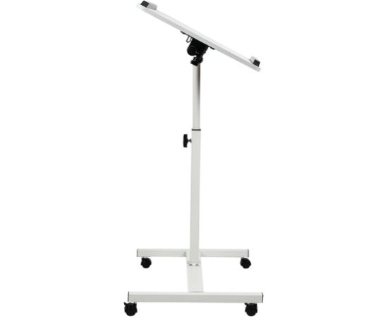 Maclean mobile desk/laptop stand, white, height adjustment 59-89cm, max. 30kg , MC-121 W Jaunumi -Dārzam