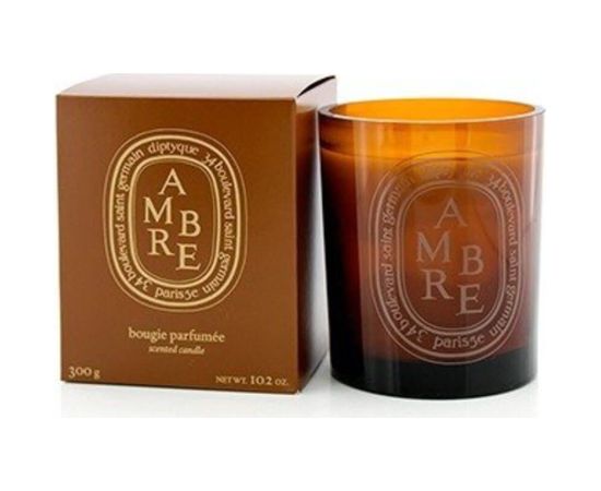 Diptyque Ambre Scented Candle 300 g Telpu aromāti