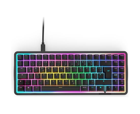 FUNCTION Elite MiniTKL (black, DE layout, NZXT Swift) Клавиатуры