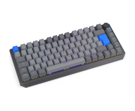 Thock V2 75% Wireless (gray, DE layout, ENDORFY Yellow by Gateron) Klaviatūras