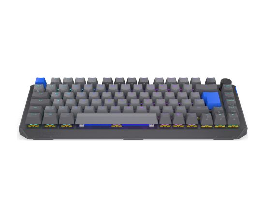 Thock V2 75% Wireless (gray, DE layout, ENDORFY Yellow by Gateron) Klaviatūras