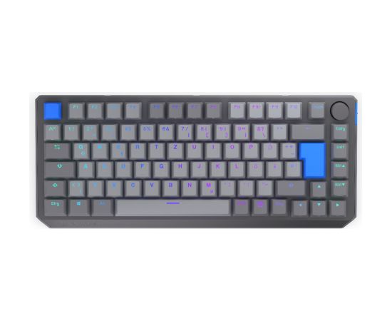 Thock V2 75% Wireless (gray, DE layout, ENDORFY Yellow by Gateron) Klaviatūras