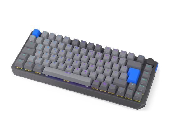 Thock V2 75% Wireless (gray, DE layout, ENDORFY Yellow by Gateron) Klaviatūras