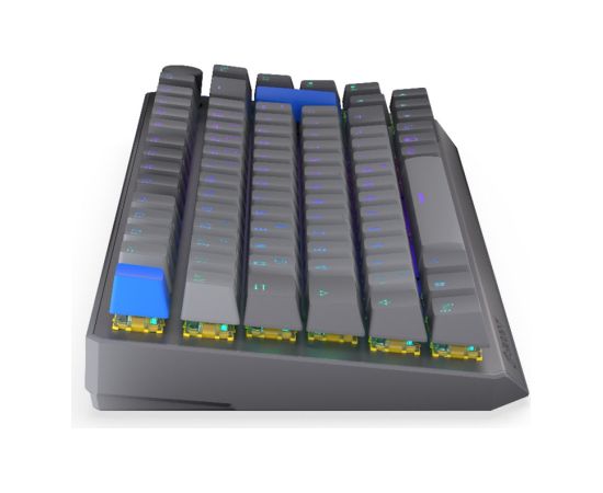 Thock V2 75% Wireless (gray, DE layout, ENDORFY Yellow by Gateron) Klaviatūras